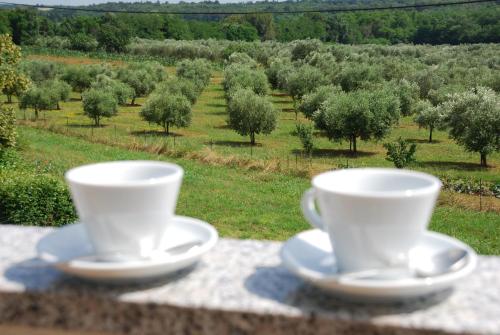 zwei Tassen Kaffee auf einem Tisch in einem Obstgarten in der Unterkunft Rooms Edda in Umag