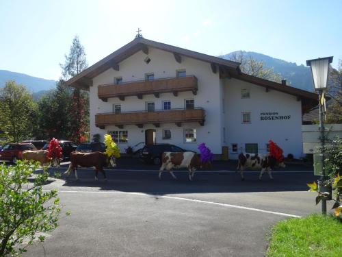 Vista general d'una muntanya o vistes d'una muntanya des de l'hostal o pensió