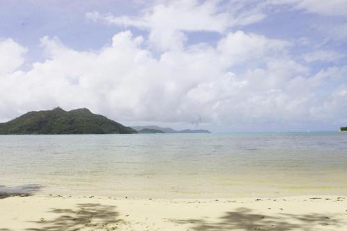 una playa con una pequeña isla en el agua en Lone Self-Catering Apartment, en Baie Sainte Anne