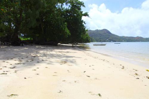 una playa con árboles y agua y un barco en Lone Self-Catering Apartment, en Baie Sainte Anne