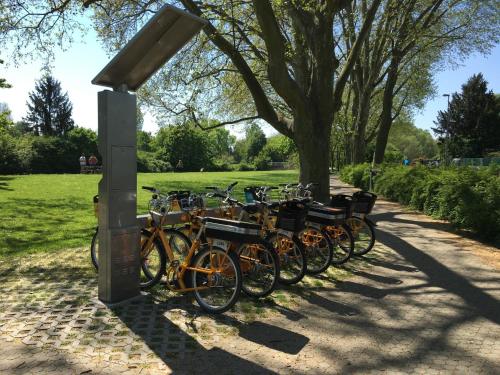 a row of bikes parked in a park at Ferienhaus Zur Mainpforte in Mainz