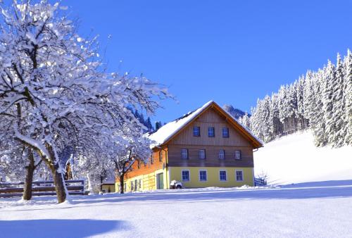 Ferienstadl - Hammerau žiemą