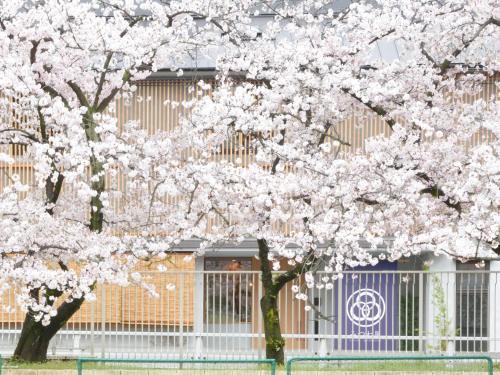 Foto da galeria de Hostel Mitsuwaya Osaka em Osaka