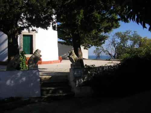 deux statues de chats devant un bâtiment dans l'établissement Quinta de Sao Filipe, à Setúbal