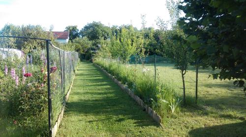 Jardín al aire libre en Farm stay Lackovic