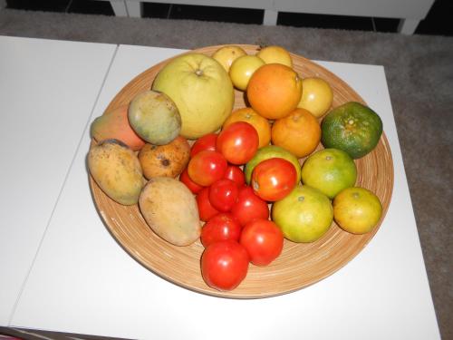 Comida en el departamento o alrededores