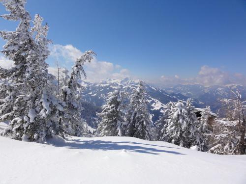 a group of snow covered trees on top of a mountain at Nöglhof in Radstadt