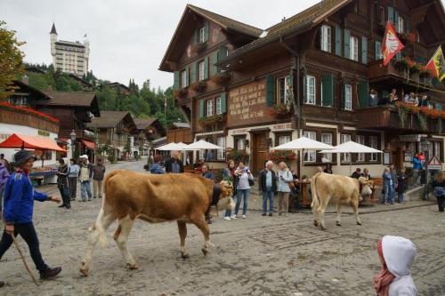 Hosté ubytování Posthotel Rössli