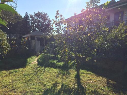 A garden outside B&B da Cinzia