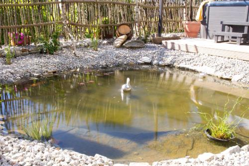 eine Ente, die in einem Teich im Hof schwimmt in der Unterkunft Hotel Restaurant Brigitte in Warmensteinach