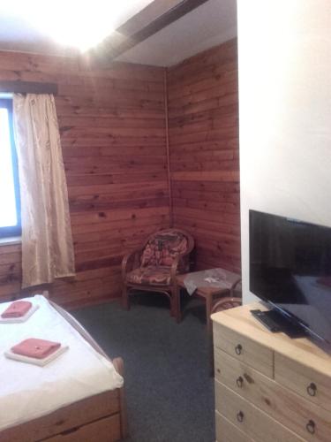 una camera con TV e una camera da letto con pareti in legno di Hotel Anna a Harrachov