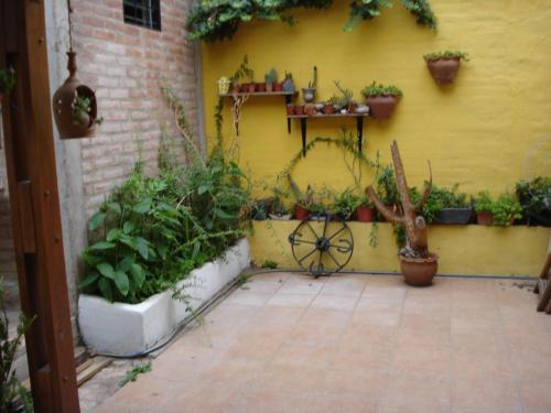 un muro giallo con un mucchio di piante in vaso di Casa Villa Carlos Paz a Villa Carlos Paz