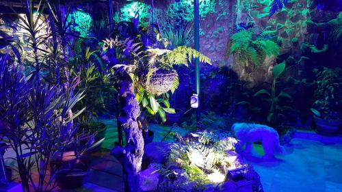 una exposición de plantas y peces en un acuario en Edinburgh, en Mariánské Lázně