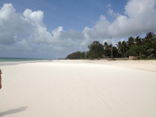 - une vue sur une plage de sable blanc avec des arbres et l'océan dans l'établissement Marula Park, à Diani Beach