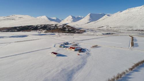 Guesthousen lähellä sijaitseva luonnonmaisema