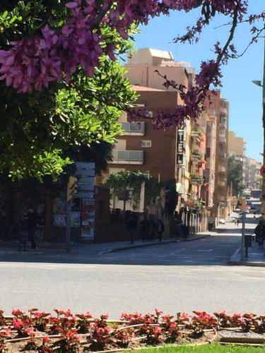 El barrio de los alrededores o un barrio cerca de este albergue