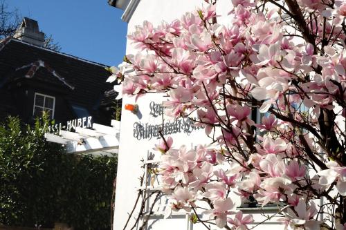 un árbol con flores rosas delante de una casa blanca en Hotel Landhaus Fuhrgassl-Huber, en Viena