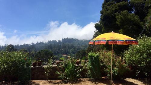 un parasol dans un jardin avec vue sur la montagne dans l'établissement Maruti Villa, à Kodaikānāl