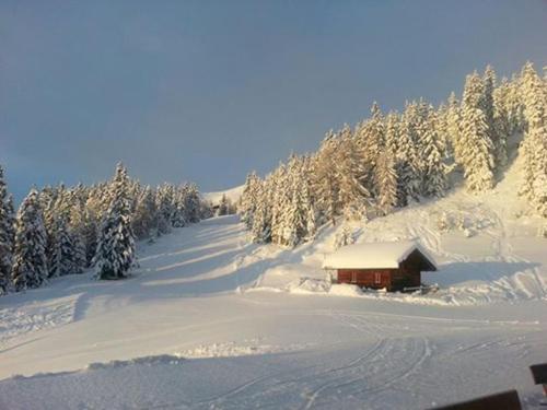 Gasthaus Furlhütte взимку