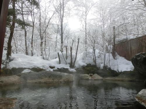 een beek in de sneeuw met sneeuw bedekte bomen bij Katsuragi no Sato in Takayama