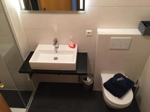 een badkamer met een wastafel en een toilet bij Apartment Goethe in Weil am Rhein