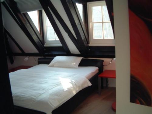 a bed in a room with two windows at Appartement Kirschgarten Mainz Rochusstraße in Mainz