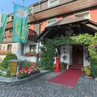 Hotel Silberdistel, готель у місті Гінтерцартен