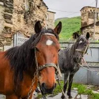 Bori's Guesthouse, hotel di Ushguli