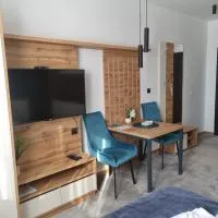 Ru&Ki apartman- Hotel Djina A13, hotel em Kopaonik