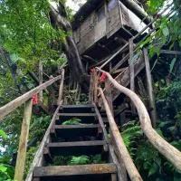 Castle Tree House And Bungalow، فندق في White Sands