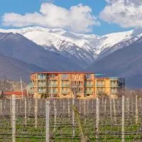 Burki Castle & Cellar, hotel i Kvareli