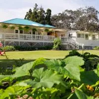 볼케이노에 위치한 호텔 Aloha Junction Bed and Breakfast -Minutes away from Hawaii Volcanoes National Park