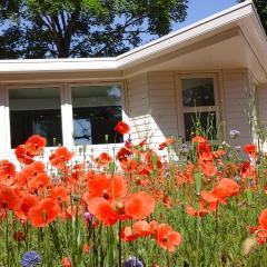 Het Findament Tiny house