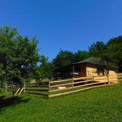 Forest Lodge on the Pyramid