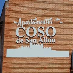 Apartamentos Coso de San Albin