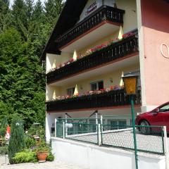 Hotel Sonnleitn