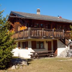 Chalet Fridi