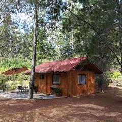 Eco Cabañas Algarrobo