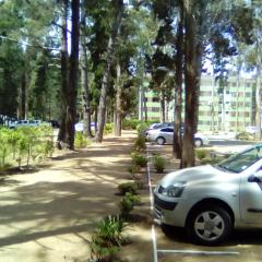 Departamento Bosques del Tabo