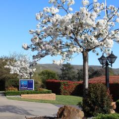 Hume Country Motor Inn