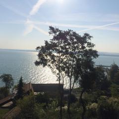 TIHANY (BALATON), BEST VIEW, SPACIOUS WELLNESS, CENTRAL , 50m BEACH