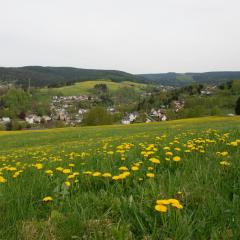 Ferienwohnung Körnerberg