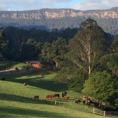 Amaroo Valley Springs