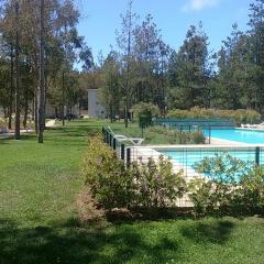 Algarrobo Bosques de la Candelaria