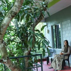 Periyar Green Bed & Breakfast