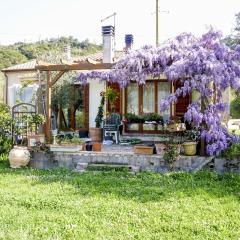 Casa Violet - Goelba