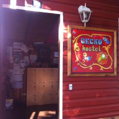 Gecko Hostel