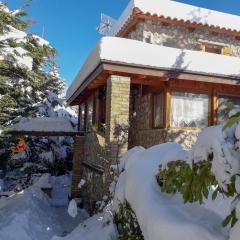 Livadi Chalet Arachova The perfect family vacation