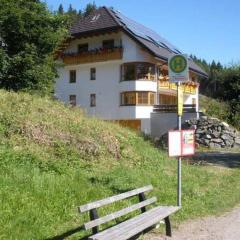 Ferienwohnungen DaHeim Titisee