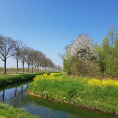 B&B Het Zwanennest